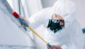 Best Pest Prevention Services  in Bella Vista, CA